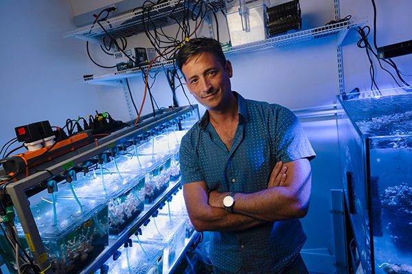 Martin Tresguerres in lab aquarium.
