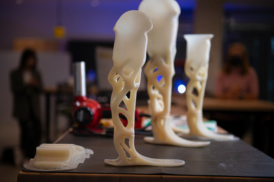 LIMBER prostheses.