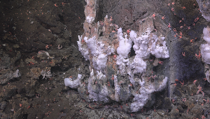 The Lasuen Knoll methane seep off the coast of Southern California