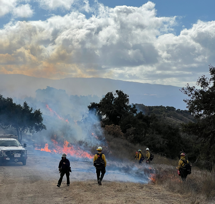 A fire burns in brush on the side of the road