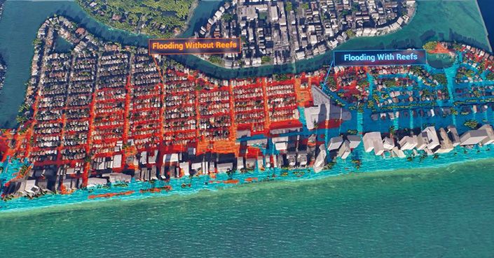 Visualization showing the flood protection benefits of coral reefs in Miami Beach, Florida